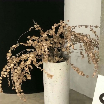 兽设星空元素设计福瑞群